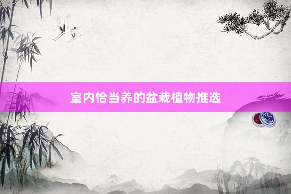 室内恰当养的盆栽植物推选